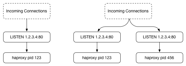 /img/port-sharding/ha-fork.png